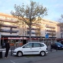 L'arbre qui pousse vite...