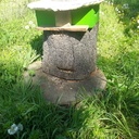 Ruche tronc Suite ...