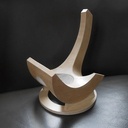 Futur grand télescope ultra-léger