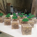 "Les tirelires vertes"