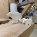 Pour qu'ils ne disparaissent pas....