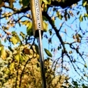 Pliant damas, érable et bubinga