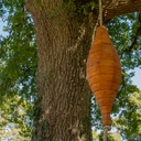 Hommage à la nature