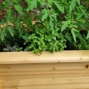 Jardinières pour les tomates