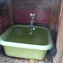 Abreuvoir à poules semi-autonome