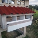 Grand poulailler en Douglas