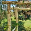 Arche de jardin