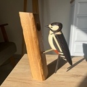 Pic épeiche
