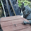 Libellule et son bassin...