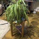 Porte-plante - bois et céramique