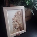 Le lion et la lionne