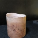 Un pot de platane noueux