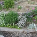 Redans de jardins