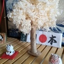 Juste un petit arbre