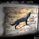 La Vallée Qui Hurle - En place pour camoufler l'emplacement d'un radiateur