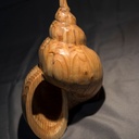 En attendant l’été, quelques coquillages.