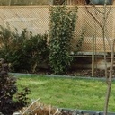 Brise vue  jardinières