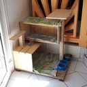 Maison arbre à chat