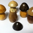 Champignons porte cure-dents