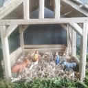 Etable pour ma crèche