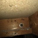 Jonction entrait / jambre de force Est.