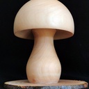 Champignon en pommier