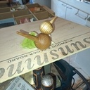 Petit oiseau dans son nid