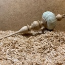 Oursin décoratif ou  Sea Urchin Shell Ornament