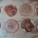 Ensembles de dessous de verres de 8 essences