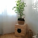 Meuble Litière (Imp3D + PIN)