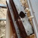 Raccord de plinthe au bouvet d'époque