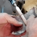 Stylo frêne cerisier vigne