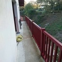 Garde corps en Iroko