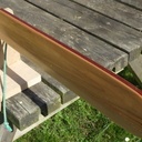 débuts des ccouches de tonkinois