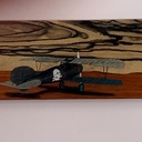 Albatros sur le front