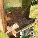 Le resto local à piafs