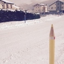 Poteaux bord de route