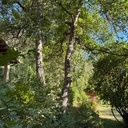 Nichoir à écureuils