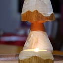 Assiette forestière