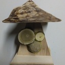 Mangeoire champignon