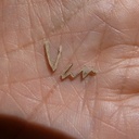 Titres en marqueterie des tableaux "Peintre sur la route de Tarascon" et "Danse à Bougival"