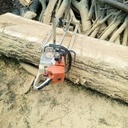 Sciage  grumes de frêne