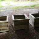 Bac pour laurier rose