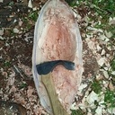 Coupe type polynésienne Umete