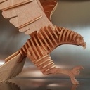 Aigle (photos remplacées)