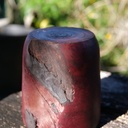 Pot-à-crayons préhistorique