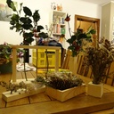 Décoration d'automne