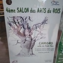 Salon des arts du bois, Camors (56)