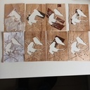 Technique de la fenêtre