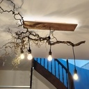 Suspension noisetier tortueux et chêne